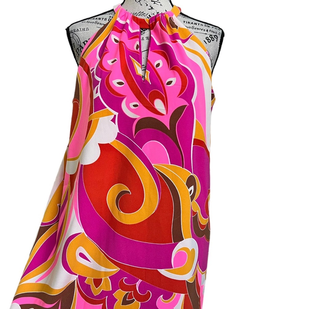 Express Dress - Picture 3 of 15